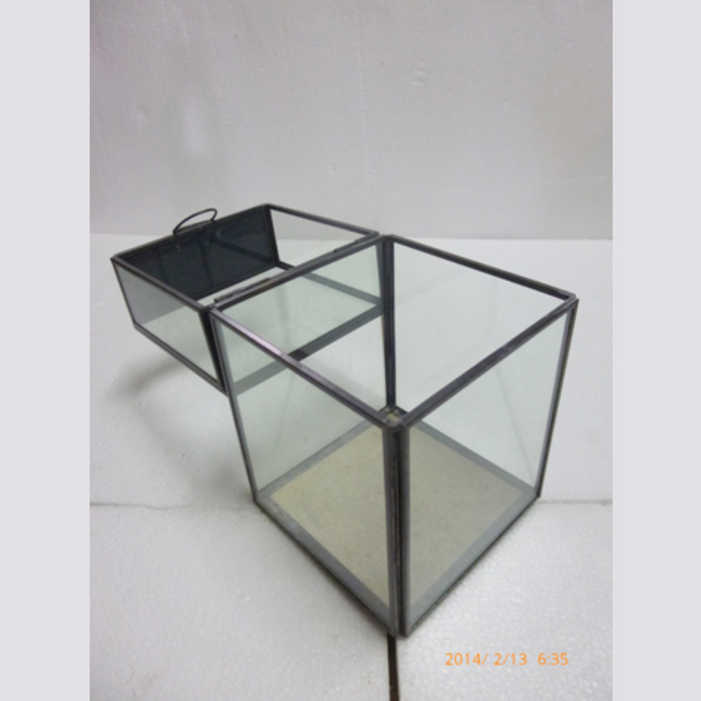 small clear glass box with clear glass cover & handle