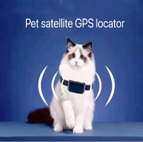 Pet satellite GPS locator